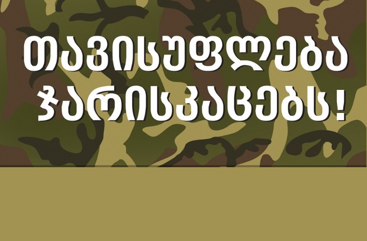 "Свободные демократы" собирают подписи на имя президента Грузии