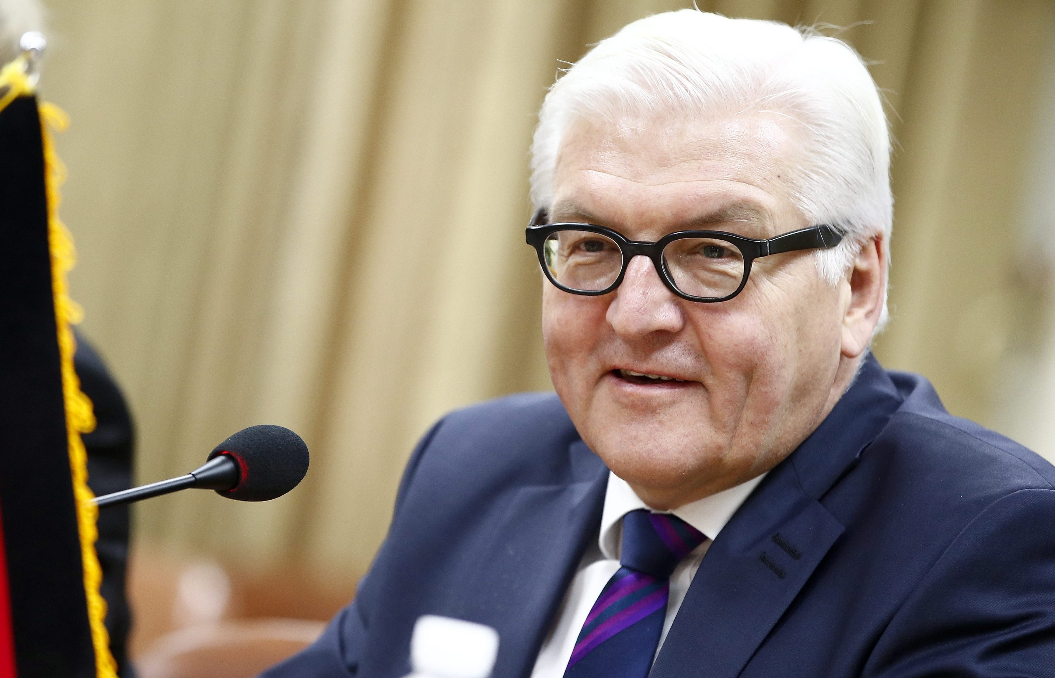 Глава МИД ФРГ: процедуры по визалиберализации для Грузии завершаться в сентябре