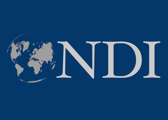 NDI: факты насилия не оказали значительного влияния на итоги выборов