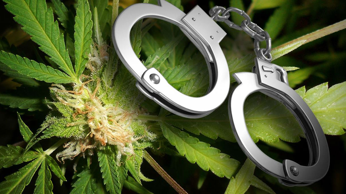 marijuana arrest handcuffs конституционный суд конституционный суд