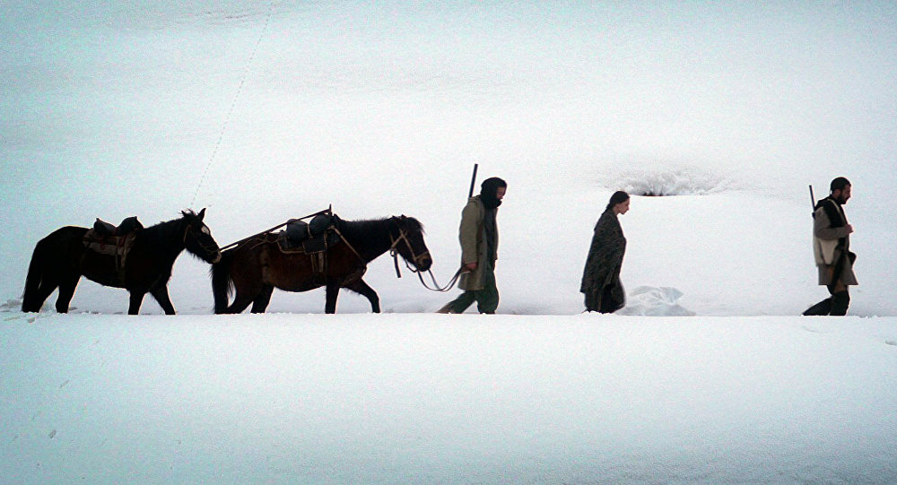 Грузинский фильм «Динола» - главный призер Amarji International Film Festival