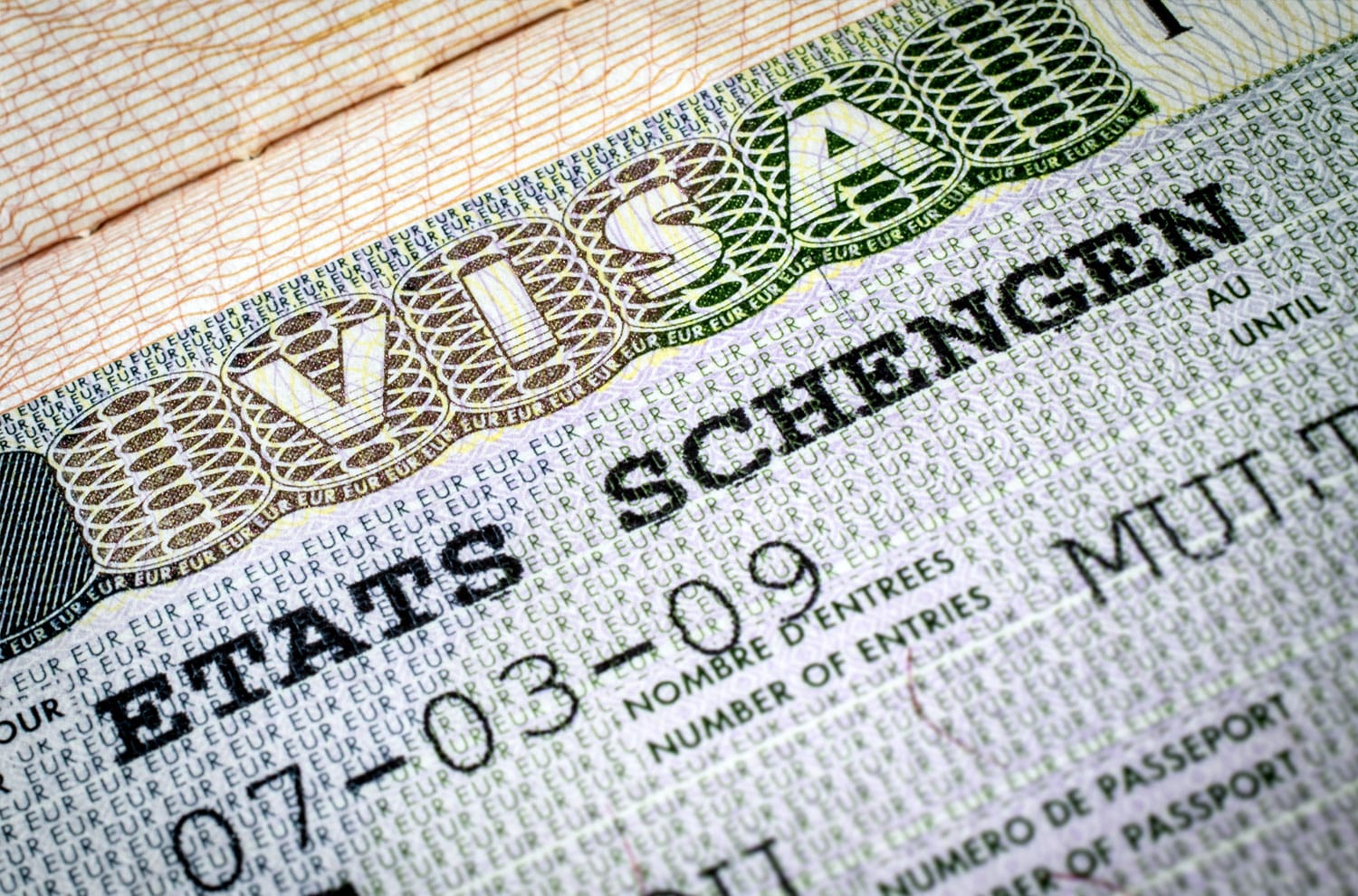 schengen visa1 дезинформация дезинформация