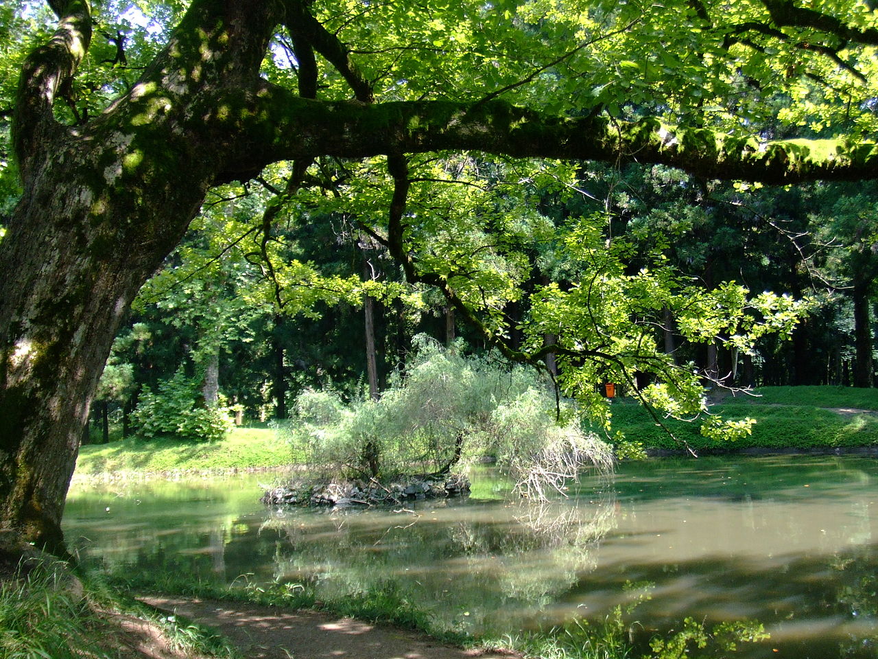 1280px Zugdidi botanical garden5 Мегрелия Мегрелия