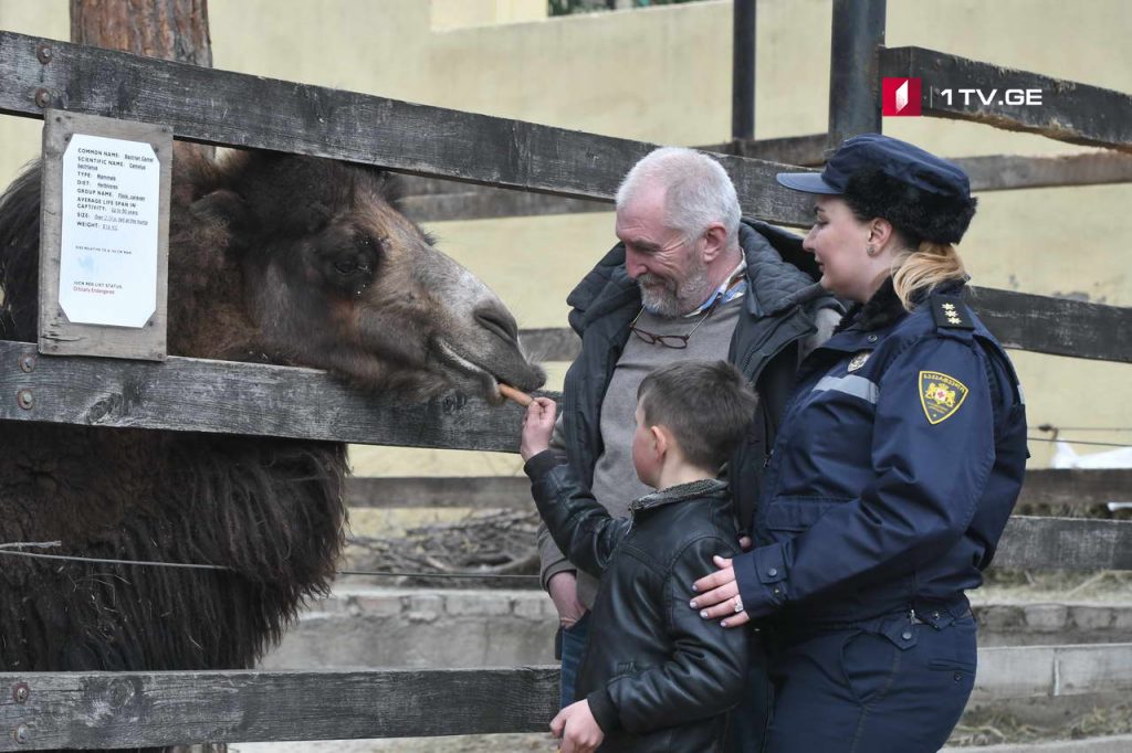 Zoo 6 новости Грузия, зоопарк, полиция, тбилиси