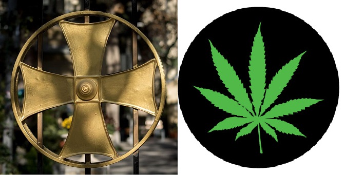 Cross Cannabis новости новости