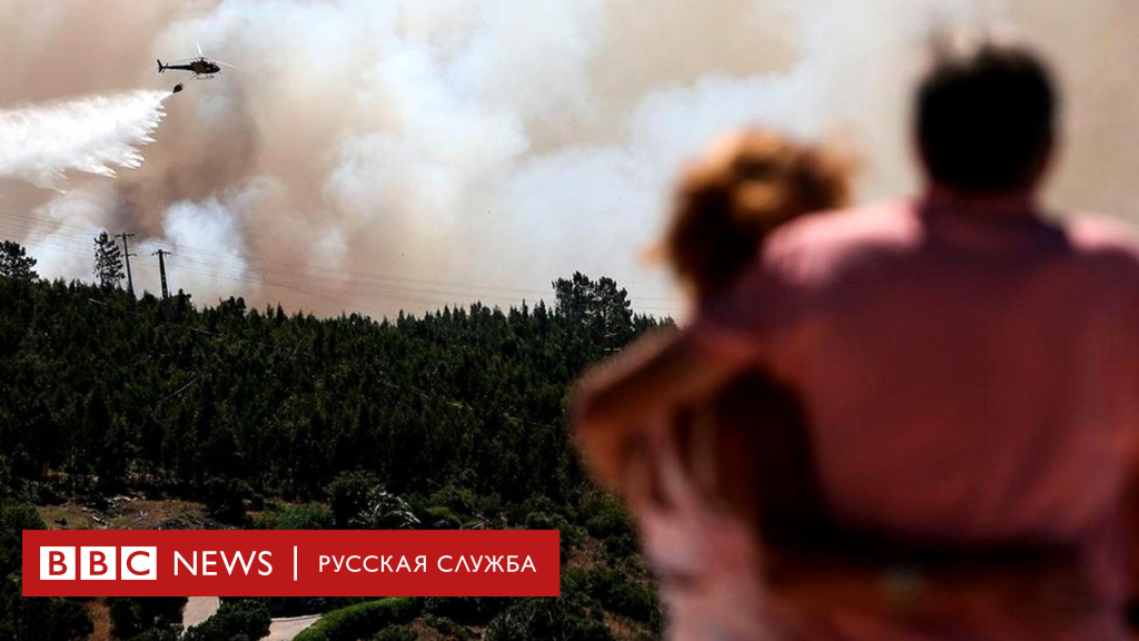 104353884 fires1 1 Новости BBC Новости BBC