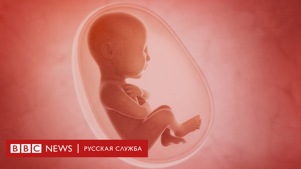 104538180 dna foetus 1 Новости BBC Новости BBC