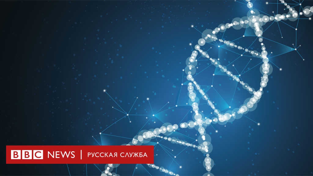 104360923 1 1 1 Новости BBC