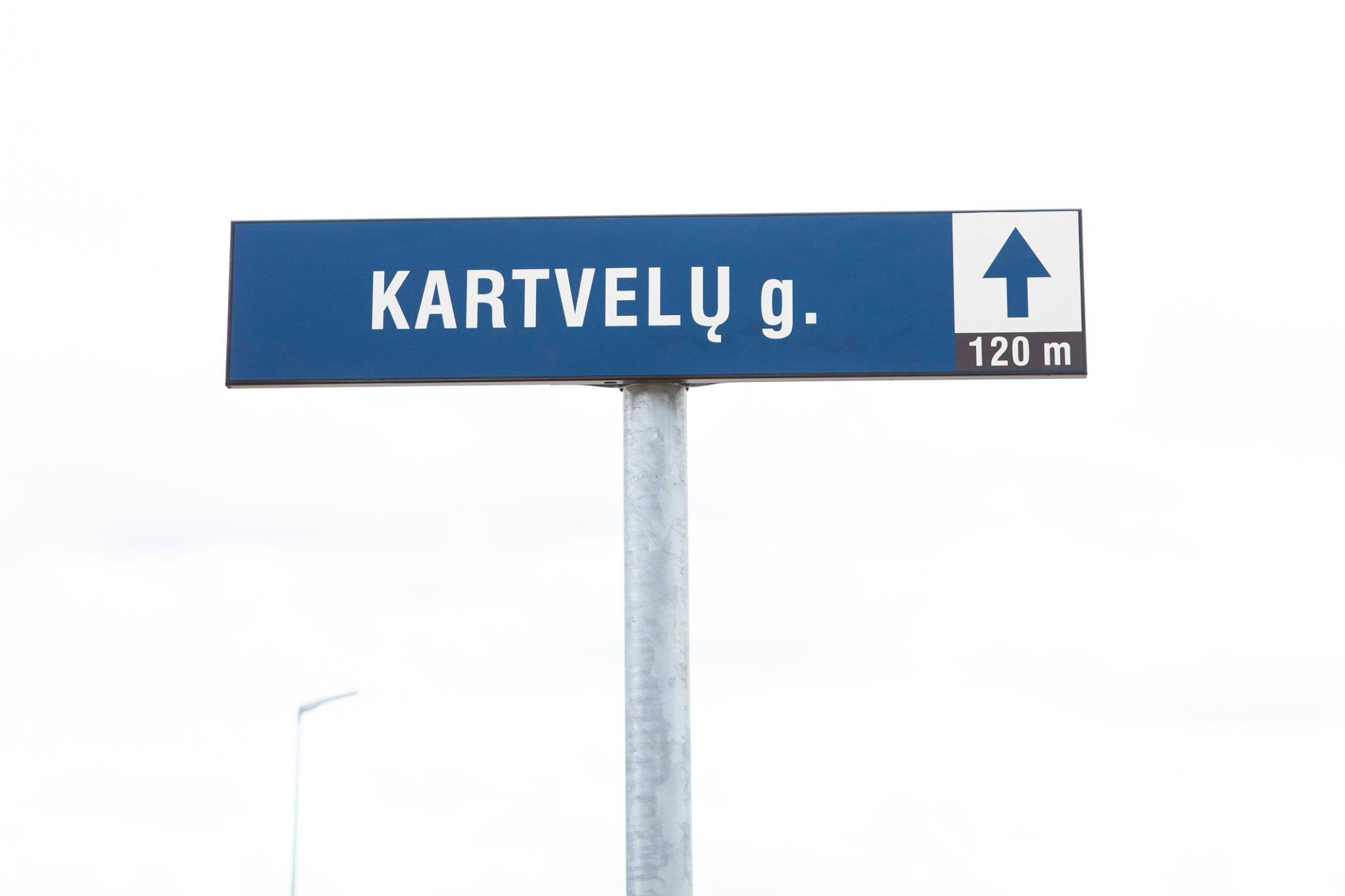 55451626 10161493328360133 4050533216761675776 o новости Kartvelu gatvė, Sakartvelas, Вильнюс, Грузинская улица, Грузия, Лиетува, Литва, Сакартвело, Хатуна Салуквадзе