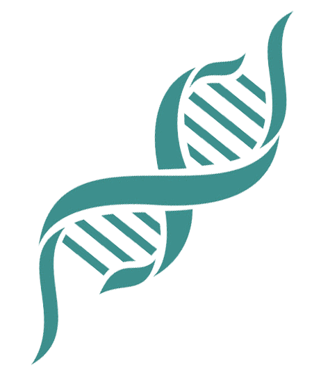 DNA 2 Министерство внутренних дел Грузии Министерство внутренних дел Грузии