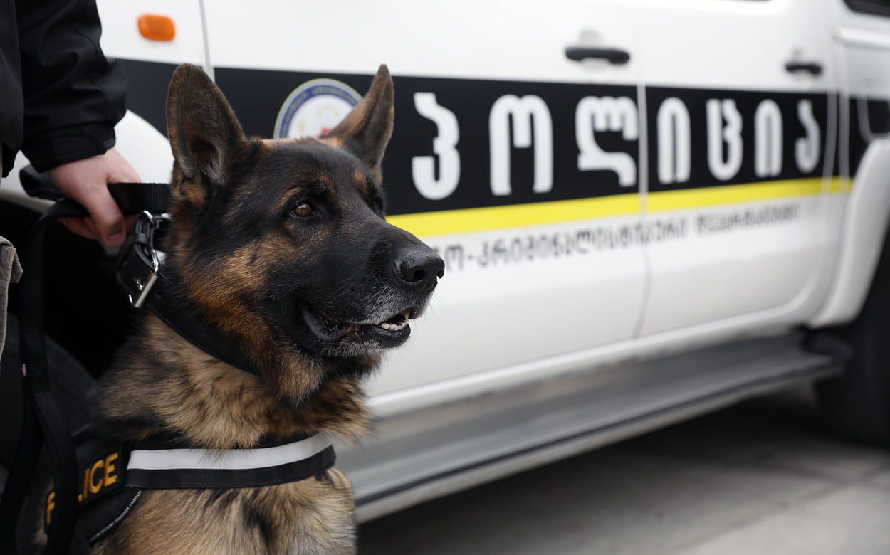 Police 16 новости Bank of Georgia, ограбление банка