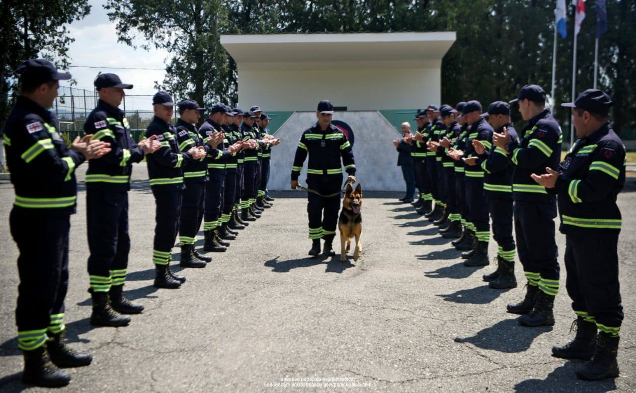 106097657 2339040053066880 1682793768811178932 o новости Служба по управлению чрезвычайными ситуациями, собаки