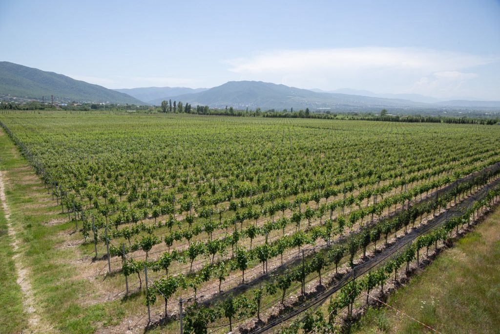 Agriculture новости Георгий Гахария, земля