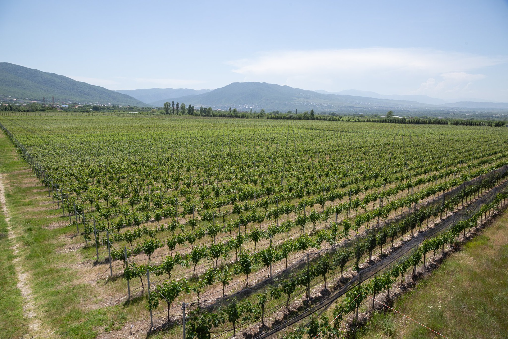 Agriculture новости Георгий Гахария, земля