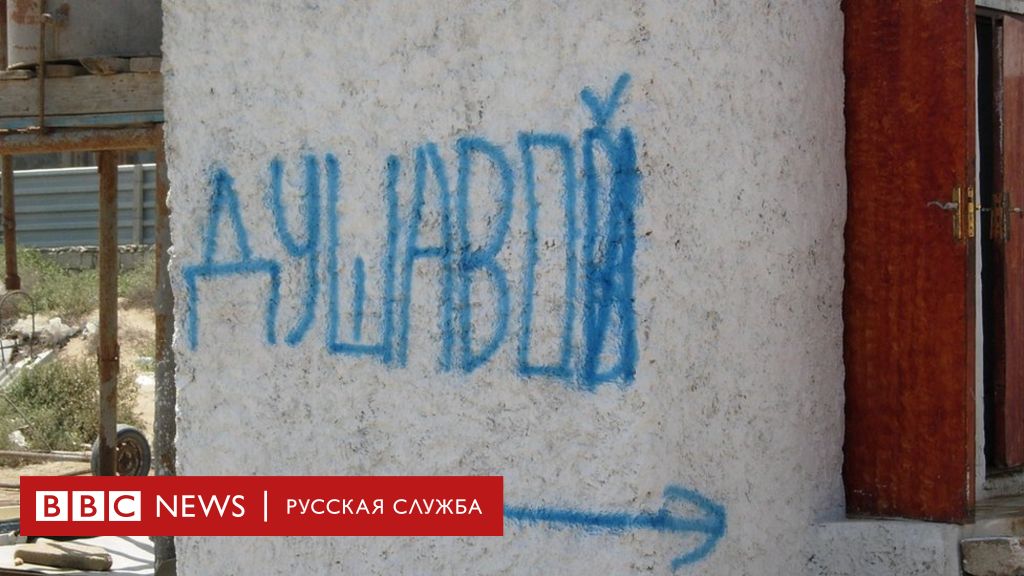 113586779 antonsaburov05 Новости BBC Новости BBC