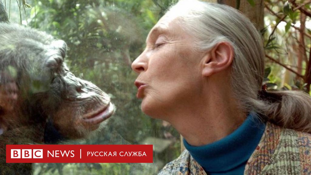 113785991 jane4 Новости BBC Новости BBC
