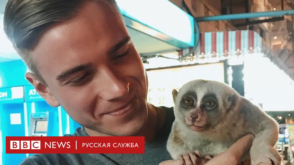 114132759 3t hxnsgx9i 1 Новости BBC Новости BBC