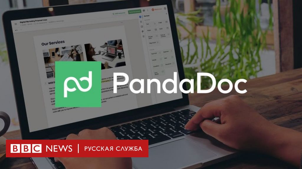 114254212 8a905ebc 2c45 407a aa81 1f9fb0505499 Новости BBC Новости BBC