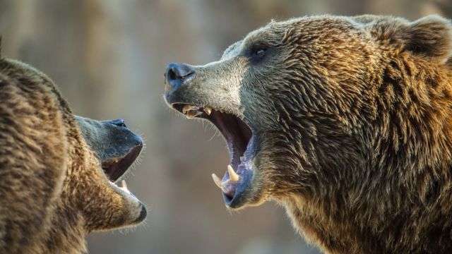 114963566 gettyimages 610274602 Новости BBC Новости BBC