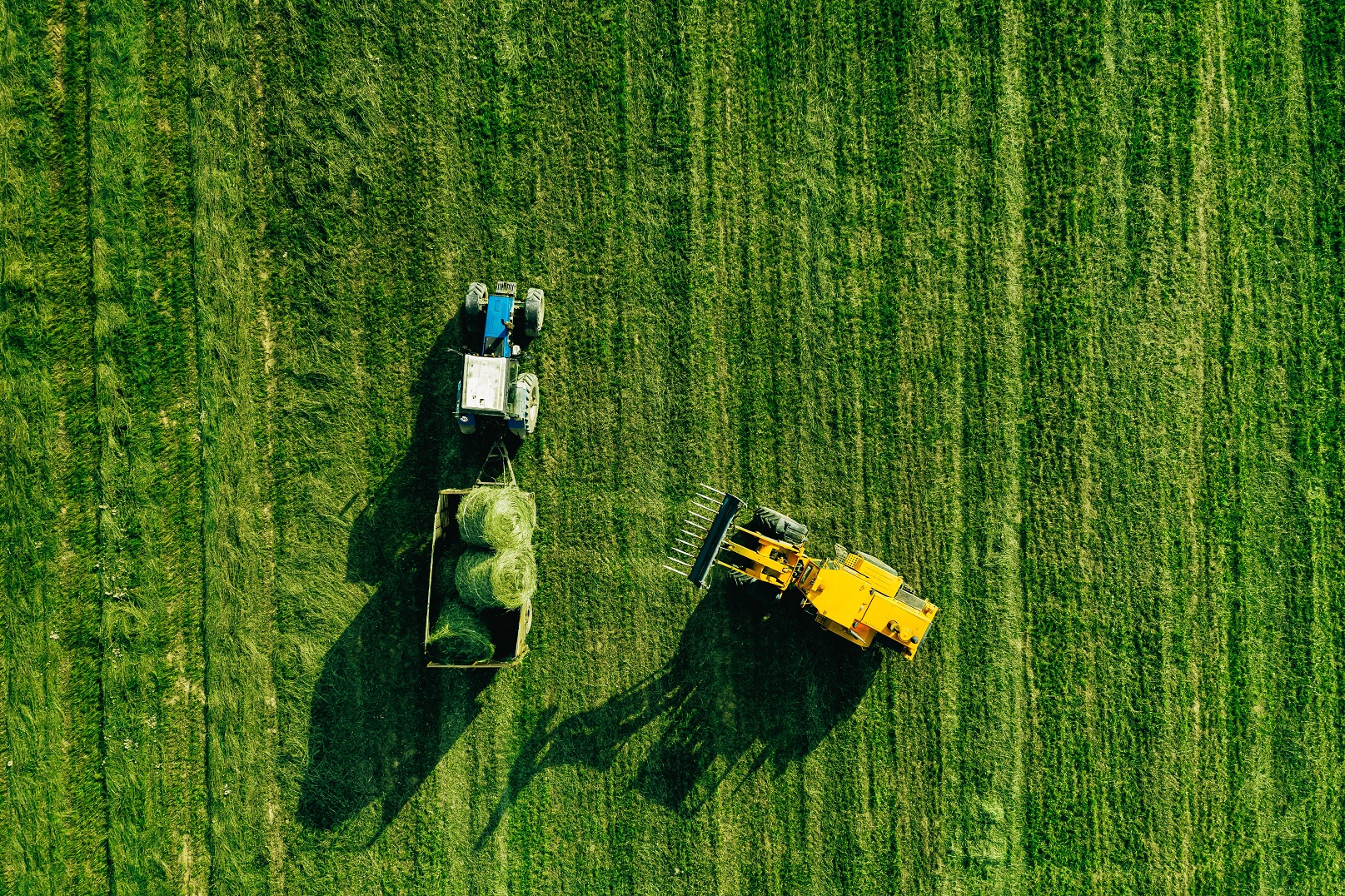 aerial view of harvest field with tractor moving h QLVK68S новости новости