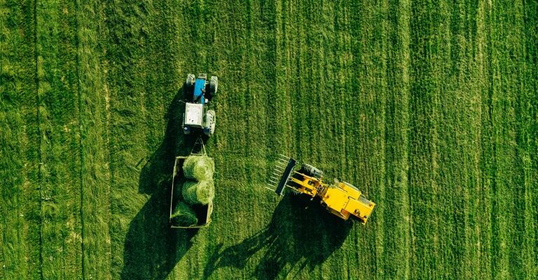 aerial view of harvest field with tractor moving h qlvk68s 768x512 1 новости Грузия-Германия, трудовые мигранты