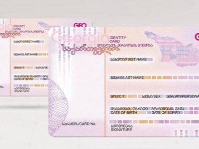 georgian id новости выборы-2021, Минюст Грузии