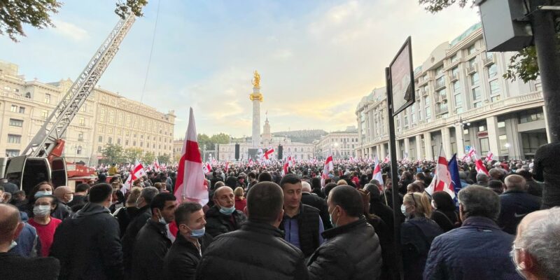 244995338 560602238547629 3307974452420326657 n новости Михаил Саакашвили, Ника Гварамия