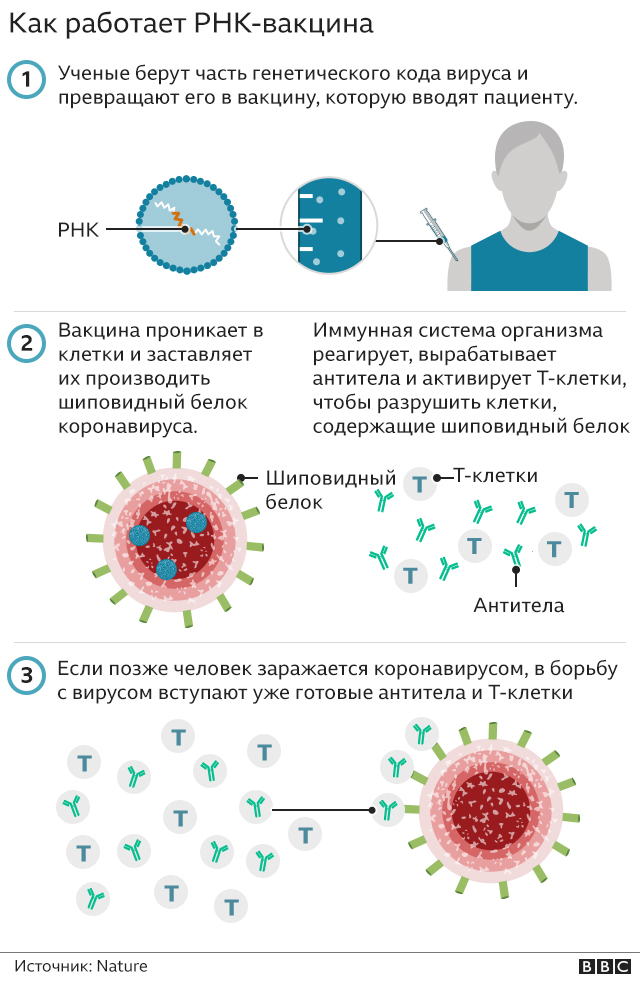 Графика