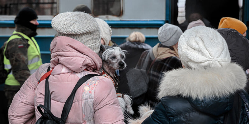 123572147 976xgettyimages 1238967506 новости беженцы, война в Украине, ООН