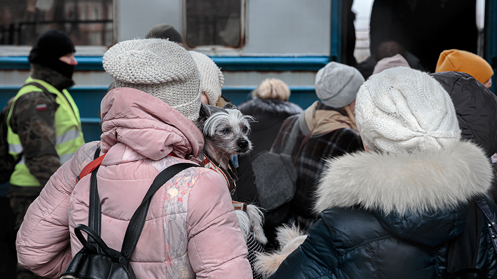 123572147 976xgettyimages 1238967506 новости беженцы, война в Украине, ООН