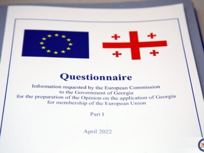 georgia eu questionnaire новости Грузия-ЕС, Илья Дарчиашвили