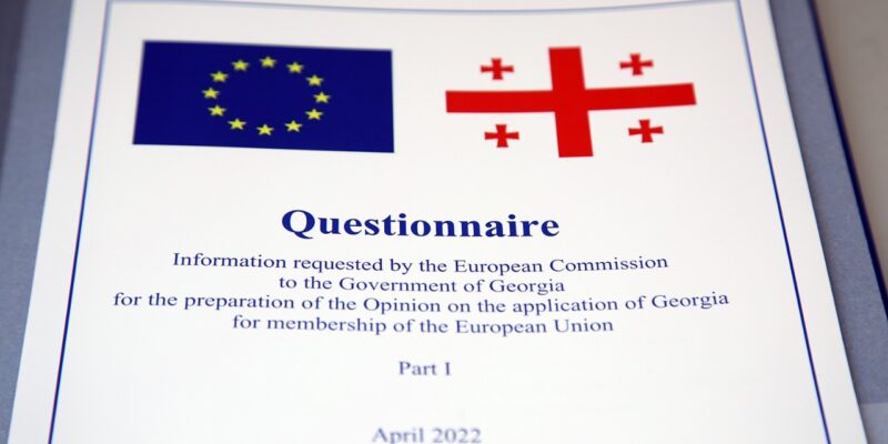 georgia eu questionnaire новости Грузия-ЕС, Илья Дарчиашвили