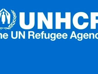 screenshot 2022 07 27 at 14.35.45 новости UNHCR, война в Украине, Грузия-Украина