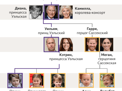 126665007 royal family tree succession 10.09 2x nc Новости BBC Великобритания, Елизавета Вторая, Карл III