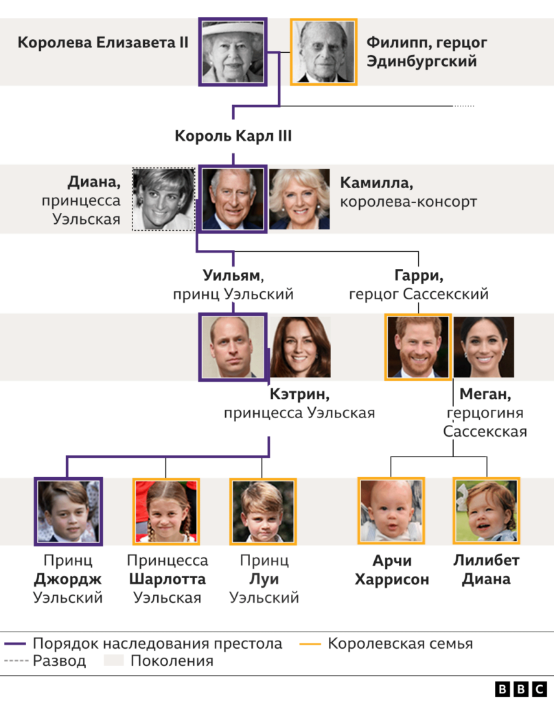 126665007 royal family tree succession 10.09 2x nc Новости BBC Великобритания, Елизавета Вторая, Карл III