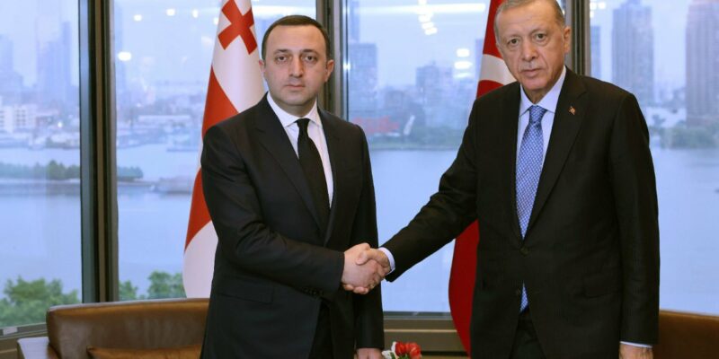 gharibashvili erdogan новости Грузия-Турция, Ираклий Гарибашвили, Реджеп Тайип Эрдоган