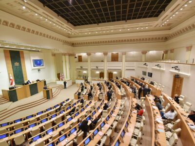 georgian parliament 786898 Бека Лилуашвили Бека Лилуашвили