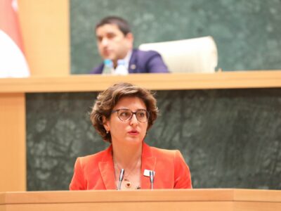 khatuna samnidze парламент Грузии парламент Грузии