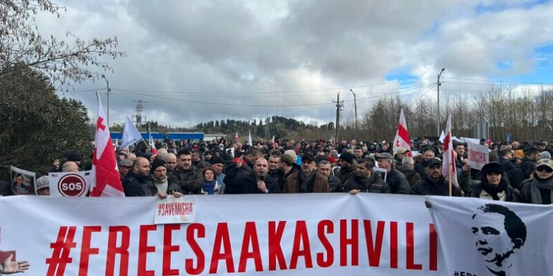 87956567576 новости Бидзина Иванишвили, Леван Хабеишвили, Михаил Саакашвили, шекветили