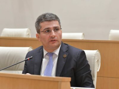 mamuka mdinaradze новости импичмент, Конституционный суд Грузии, Мамука Мдинарадзе, Саломе Зурабишвили