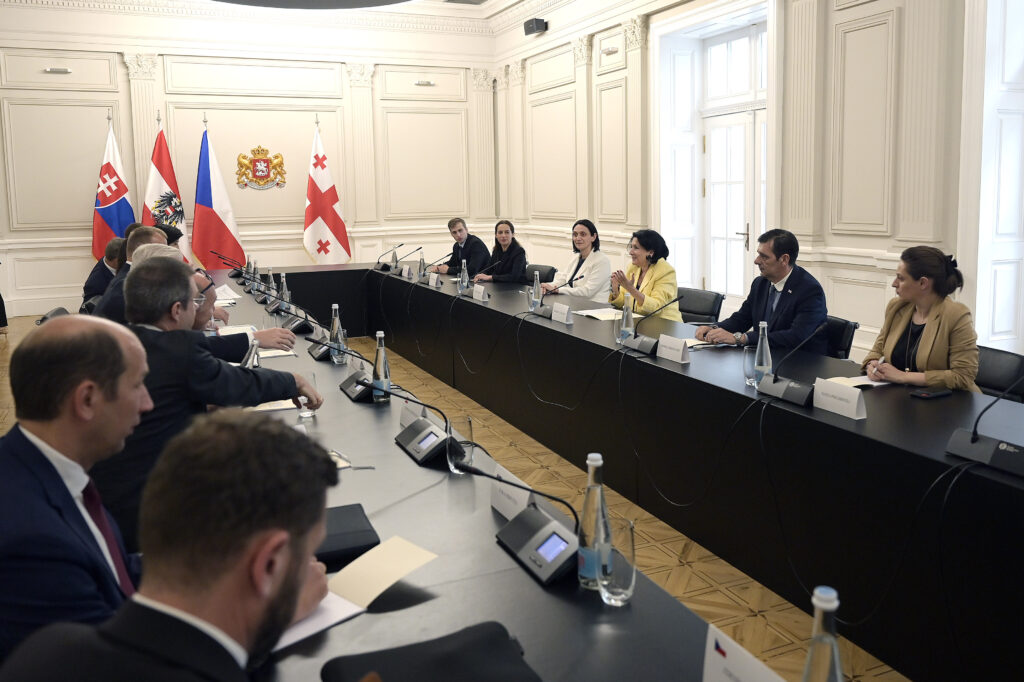 9rw2g0hql0uagde новости Грузия-ЕС, Президент Грузии