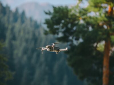 dron новости Вахтанг Гомелаури, Глава МВД Грузии, дрон, дроны, Шови