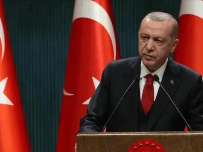 erdogani Выборы 2024 Грузинская мечта, Грузия-Турция, Реджеп Тайип Эрдоган