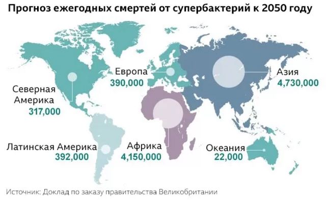 Карта
