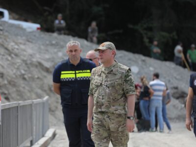 gomelauri vaxo протесты в Тбилиси протесты в Тбилиси