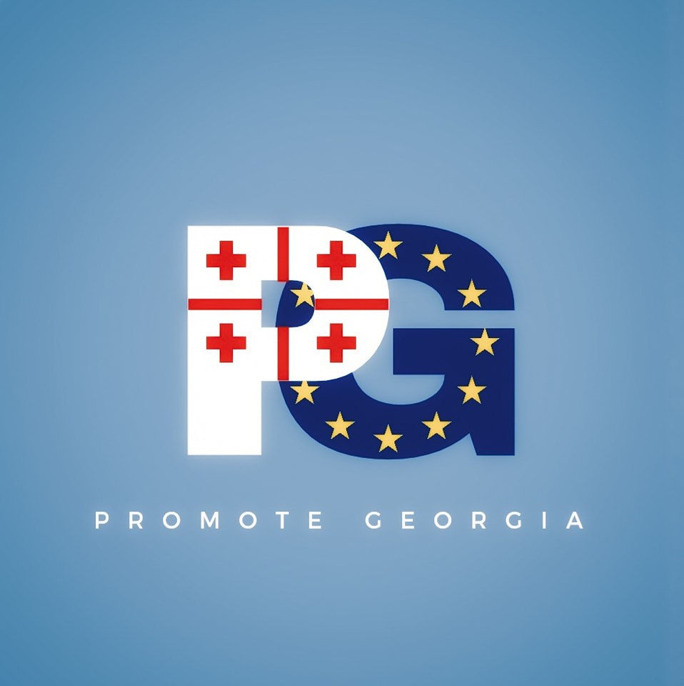 promote georgia новости Грузия-ЕС, Европарламент, Фридон Инджия