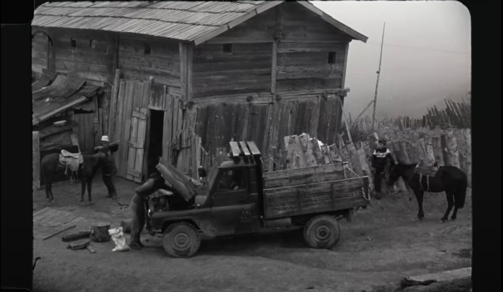 mgzavrebi новости клип, мгзавреби, премия