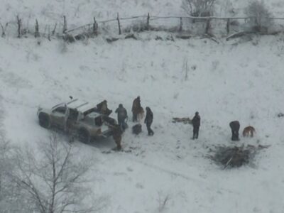 dusheti Национальное агенство окружающей среды Национальное агенство окружающей среды