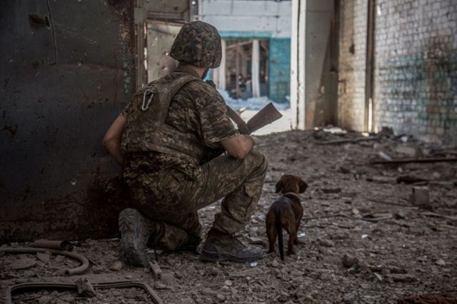 Солдат в засаде со щенком