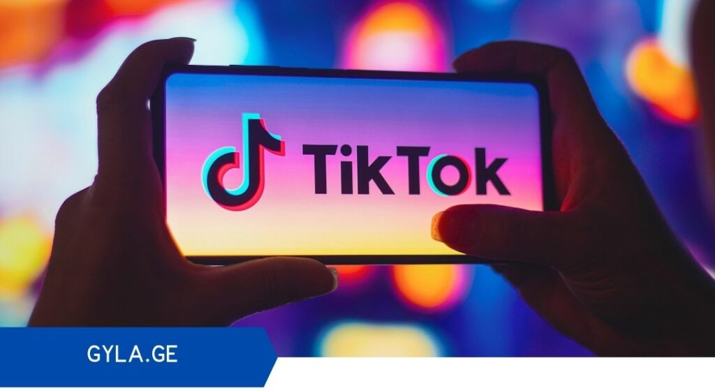 tik tok новости Tik Tok, АМЮГ, Ассоциация молодых юристов Грузии, тбилисский городской суд